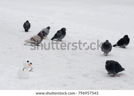 Miniature snowman scares large pigeons in the park in winter