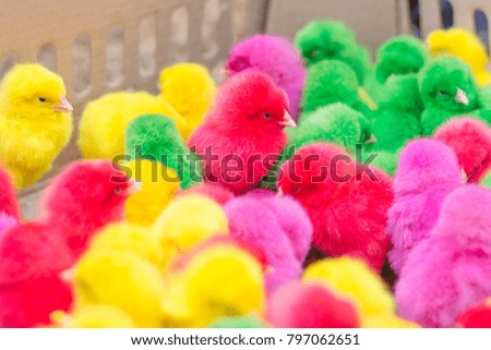 Colorful chicken background, animal