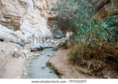 Wadi Bokek Trek in the Judaen desert nature reserve in Israel
