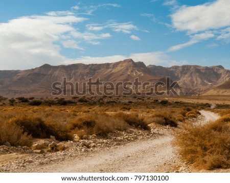 Landscape of the Negev desert in Israel

