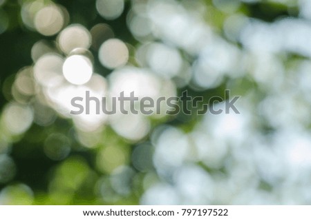 a Beautiful Abstract forest sunset summer light defocused bokeh background. green leaves and sunlight