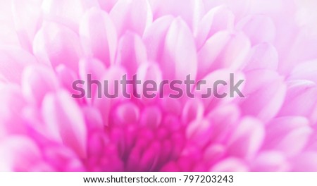 Colorful flowers fabric made with gradient for background and postcard,Abstract,texture,pink and Soft style.

