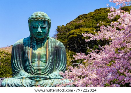 The Great Buddha in Kamakura Japan.The foreground is cherry blossoms.Located in Kamakura, Kanagawa Prefecture Japan. Royalty-Free Stock Photo #797222824