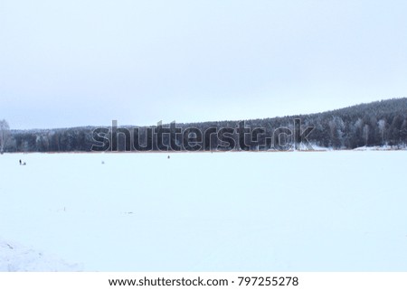 Snow-covered trees on the bank of the city's frozen pond. Forest. Russia, January, 2018.