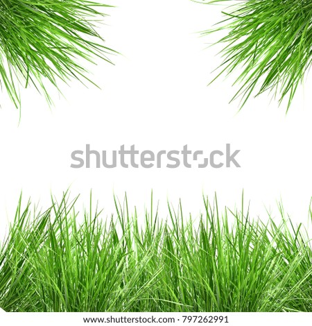 Frame of green grass, the edges of pictures isolated on white background