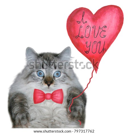 Happy Valentine's day background. Funny cat with the red bow tie and red balloon in the shape of heart with the love's lettering is looking at the camera, isolated on white background. 