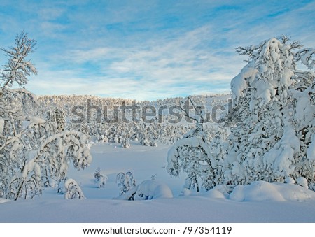 Picture from telemark, norway, winter landscape in rauland