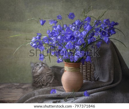 Still life with forest bells and a cat