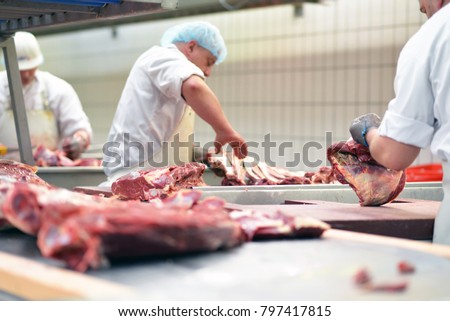 group of butchers works in a slaughterhouse and cuts freshly slaughtered meat (beef and pork) for sale and further processing as sausage Royalty-Free Stock Photo #797417815