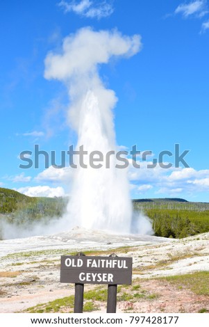 Old Faithful Geyser in Yellowstone National Park. The reliability of Old Faithful can be attributed to the fact that it is not connected to any other thermal features. Royalty-Free Stock Photo #797428177