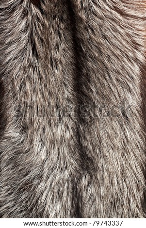 Silver fox fur texture as vertical background