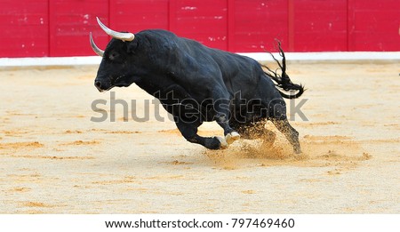 spanish bull in spain Royalty-Free Stock Photo #797469460
