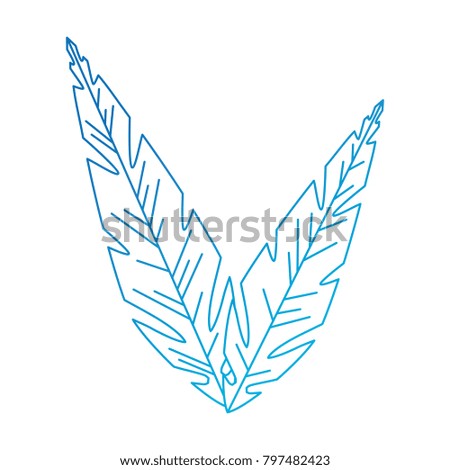 feathers decoratives isolated icon