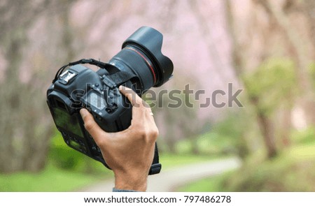 Tourism photographer with Wild Himalayan Cherry  road background