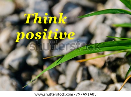 Image of motivational quote think positive over blur background of dews on leaves and stones. Blank space for additional texts
