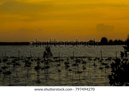 Evening sky with golden sun on the lake in Rayong. under exposed photo.