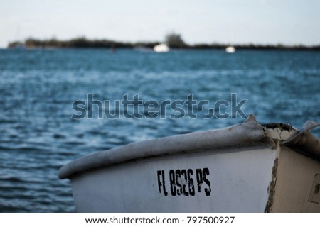 Small Row Boat pulled up on shore