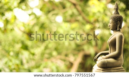 Buddha statue with natural warm light background