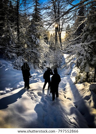 People in snowy forest