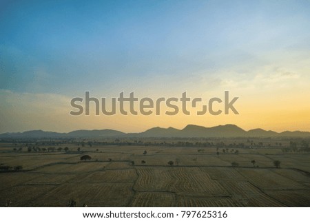 The scene of rice field from top view with blue sky and sunset at the horizon line