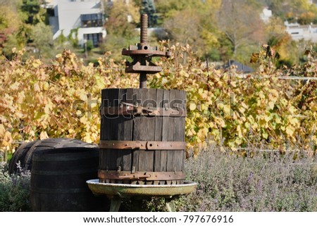 A barrel with a screw press for extracting the juice from grapes
