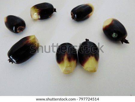 Fresh Palm oil seed isolated on white background.
