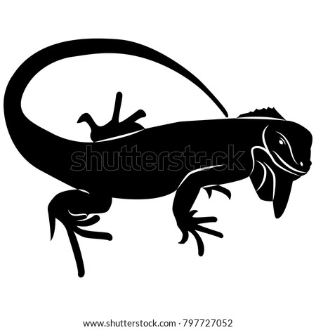 Vector image of silhouette of iguana lizard on white background