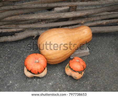 A ripe orange pumpkin lies on the road
