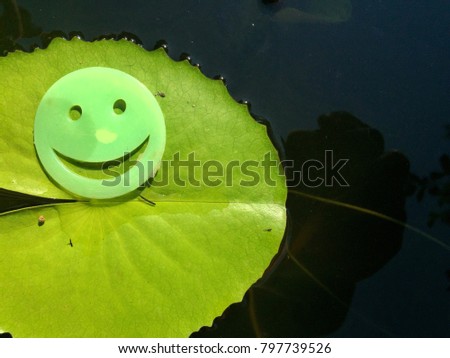Smiley face symbol on a green lotus leaves floating in the water. Can be used for display. Copy space for your text or design.