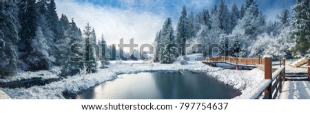 Winter forest in the Carpathians. Lake Vito