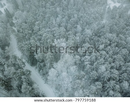 aerial view of forest covered with snow