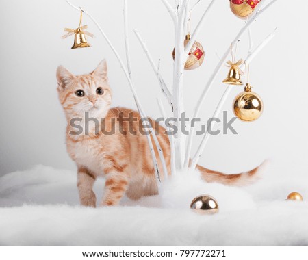 Ginger cat playing with Christmas toys