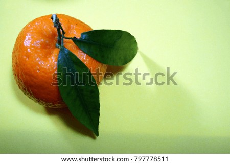 mandarin with leaves 