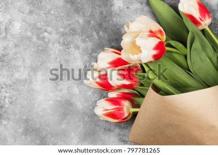 Bouquet of white pink tulips on a gray background. Top view, copy space