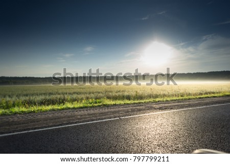 Roadside view and green grass on blue sky