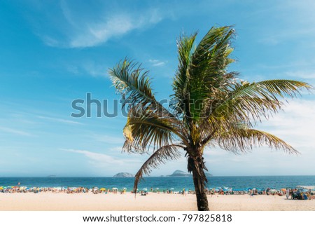 Single palm tree with out of focus Ipanema beach in Rio de Janeiro, Brazil background