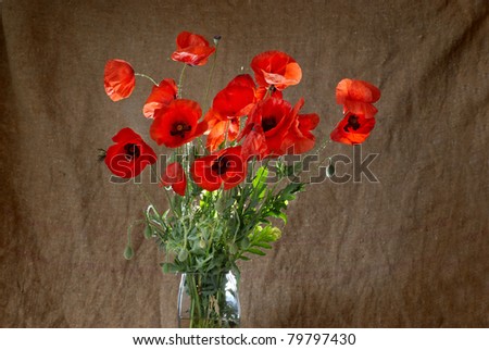 Poppies in the vase against dark grunge background