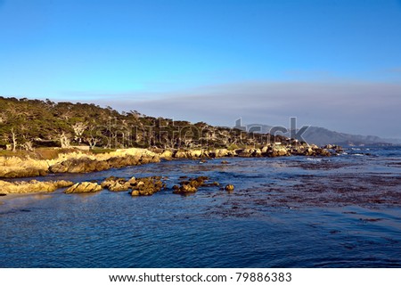 scenic coastline at Point Lobos in Sunset