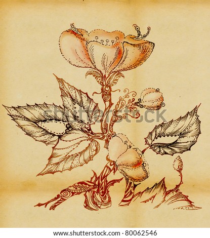 Wild rose flower, the stylized drawing