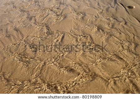 Patterns on a sandy beach with water movement. Wimereux. Pas de Calais. France