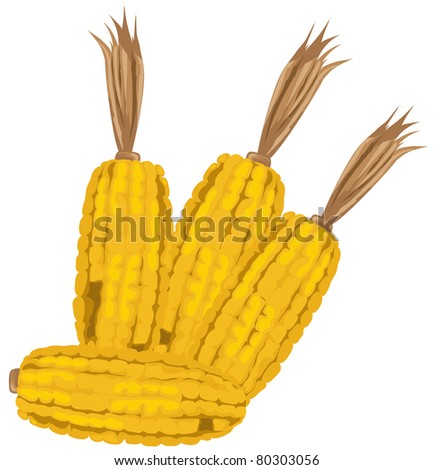 illustration of isolated corns on white background