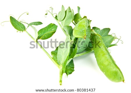 Young green pea on a white background