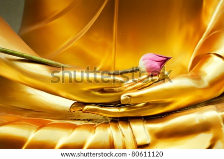 Pink lotus flower put on Golden hand of  Golden buddha meditation statue at thai temple.
Buddhism in Thai have golden metal buddha in meditation posture is culture of Thailand Image of buddha concept.