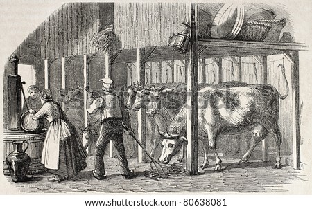Old illustration Dutch man and woman working in a cowshed. Created by Marc, published on L'Illustration, Journal Universel, Paris, 1857