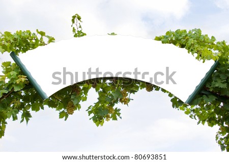Decorative empty sign over vine leaves with clipping path