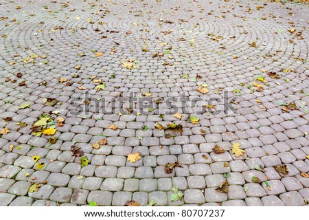 Paved sidewalk with autumn foliage. The Lvov park