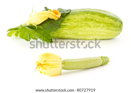 zucchini flowers and fresh green zucchini