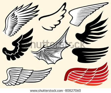 wings collection