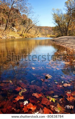 autumn leaves in the water in current river missouri