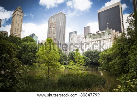Skyscrapers rising above the trees from Central Park, great contrast between the busy city life and the beauty of nature.